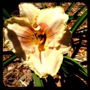 Meet your Posher, Leanne